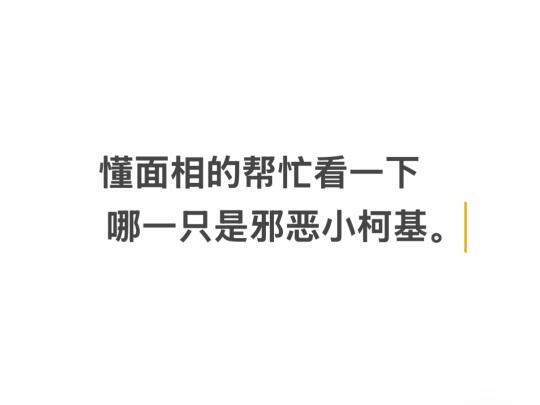懂的人帮忙看一下。