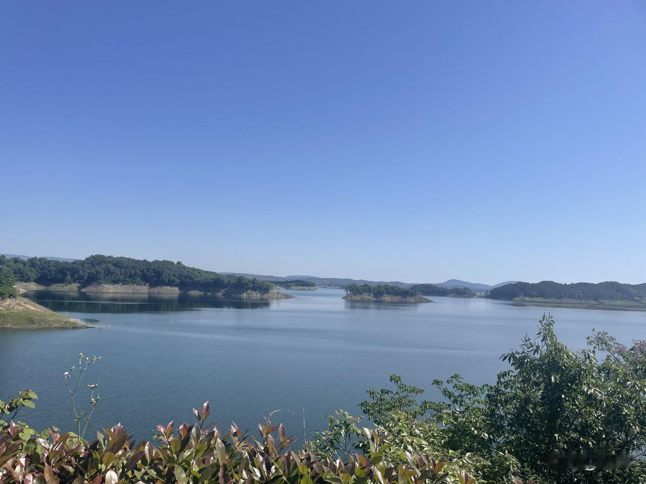 【西江月•几度徘徊渭岸】
几度徘徊渭岸，寻常邂逅花娇。
双飞燕子竞天高，戏水鸳鸯