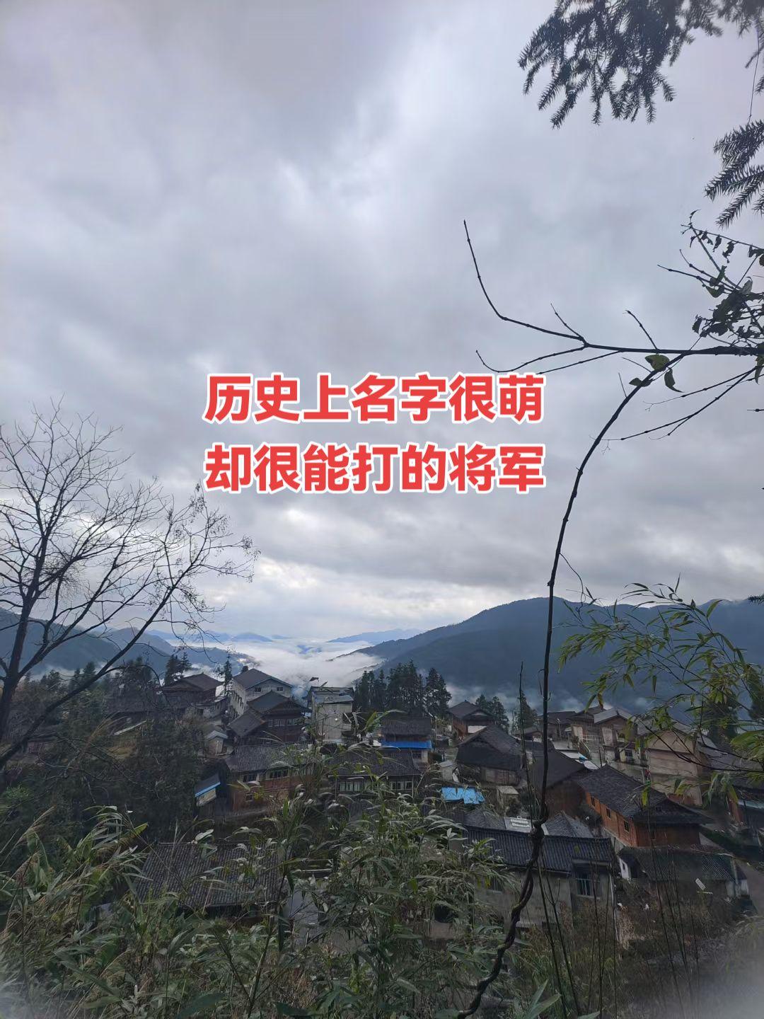 历史上名字很萌，却很能打的将军，你知道几个呢？
我先来：王保保（扩廓帖木儿），元