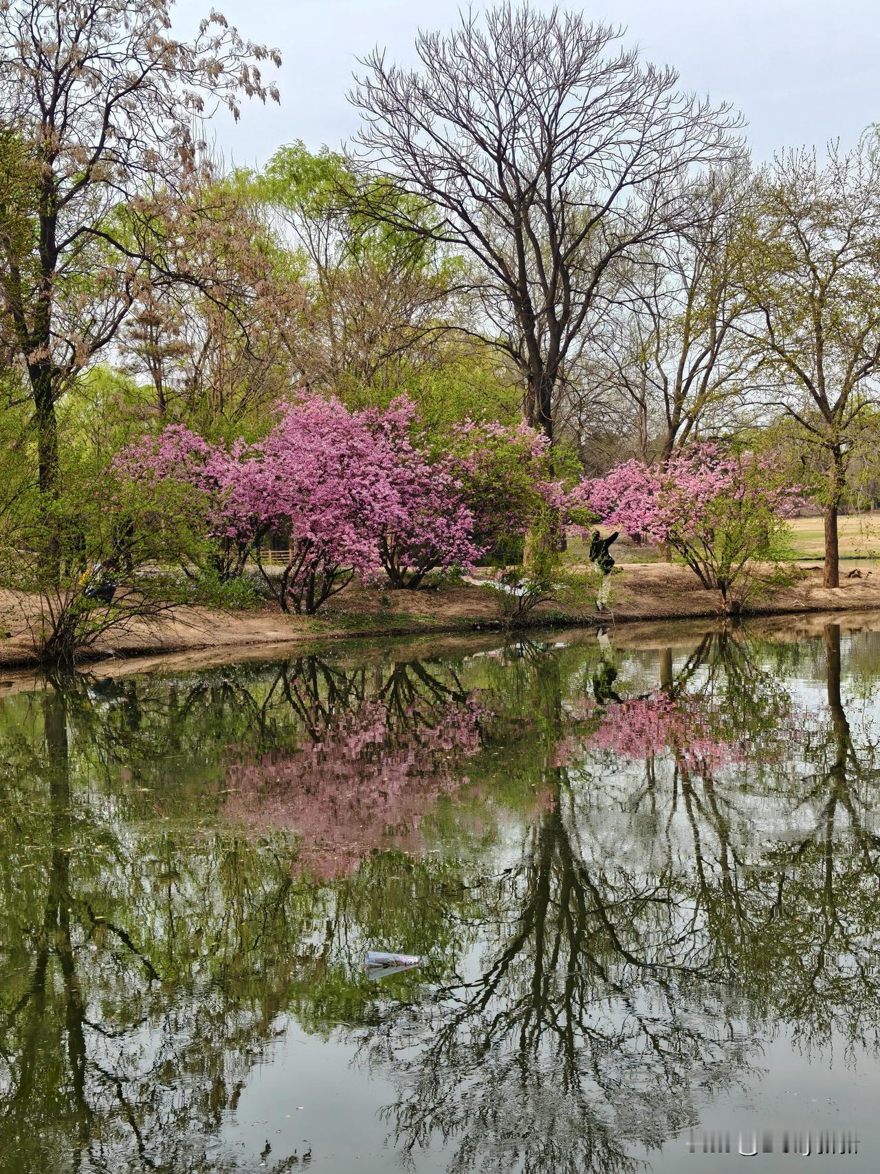 走进奥森，便像闯入了城市中央的一片绿洲。一步一景，皆是自然与生活的温柔相逢。
