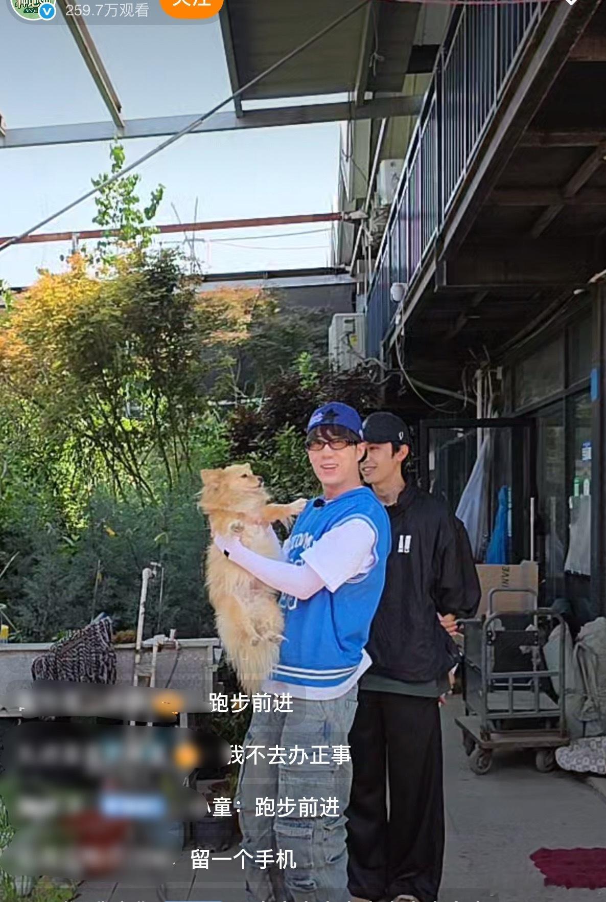 大狗抱小狗！小狗打架好可爱的画面啊种地吧今天来采购十个勤天[超话] ​​​