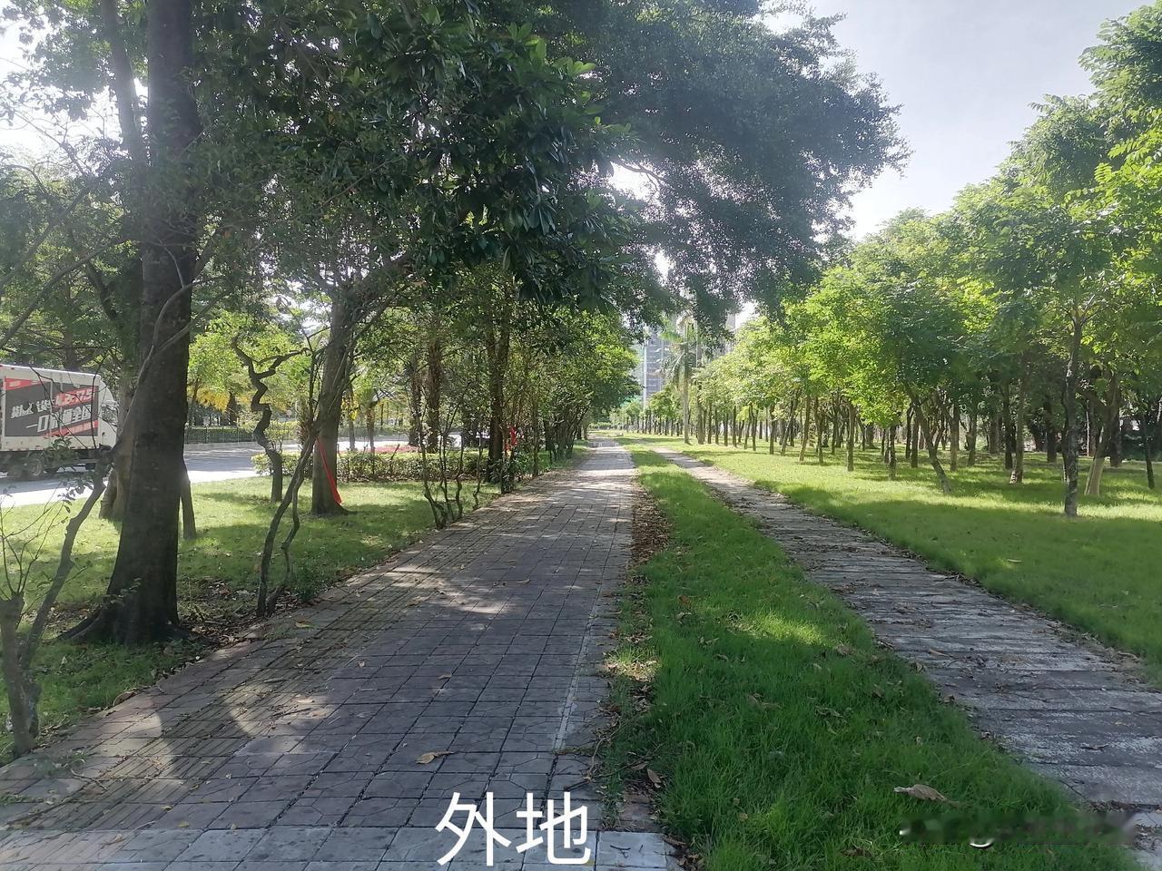 兴宁也有外地那么宽的马路，但马路两边还有这么宽的绿化带却少见；外地小区门口至马路