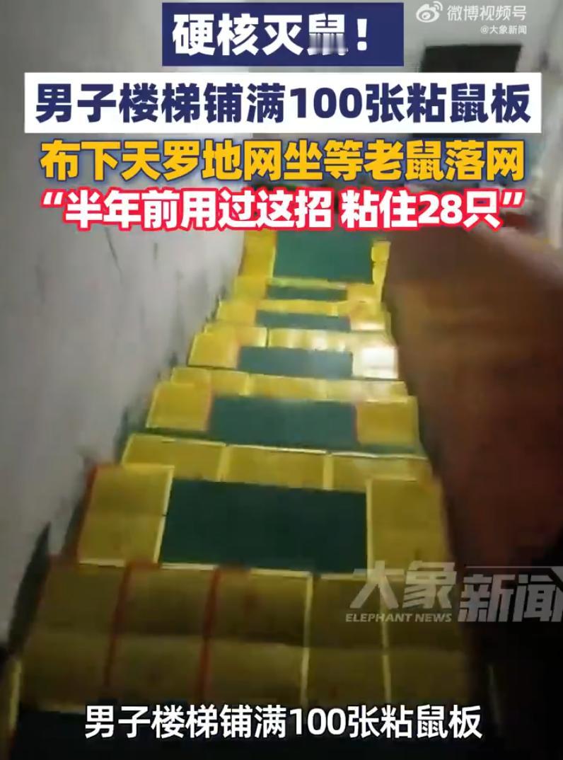 广东东莞，一个做仓库生意的老板，最近干了一件让人看了又想笑又心疼的事。他把自己仓