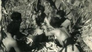 1956年，解放军在哀牢山密林中，发现了一群几乎全裸的男男女女！调查后才知道，他