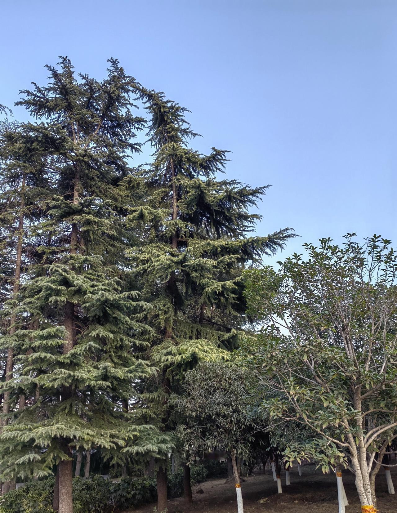 刚兴泡面时，是有钱人在吃，后来就有档次，然后大众化了。
一度，泡面整天在搞“更敢