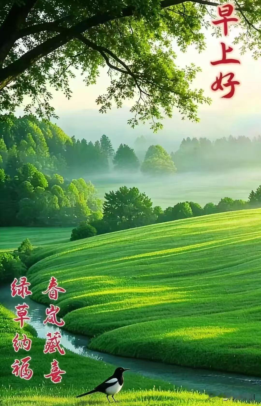 《卜算子·晨安寄意》
 
晓色透窗纱，
清露凝芳草。
一枕清风好梦长，
晨起心常