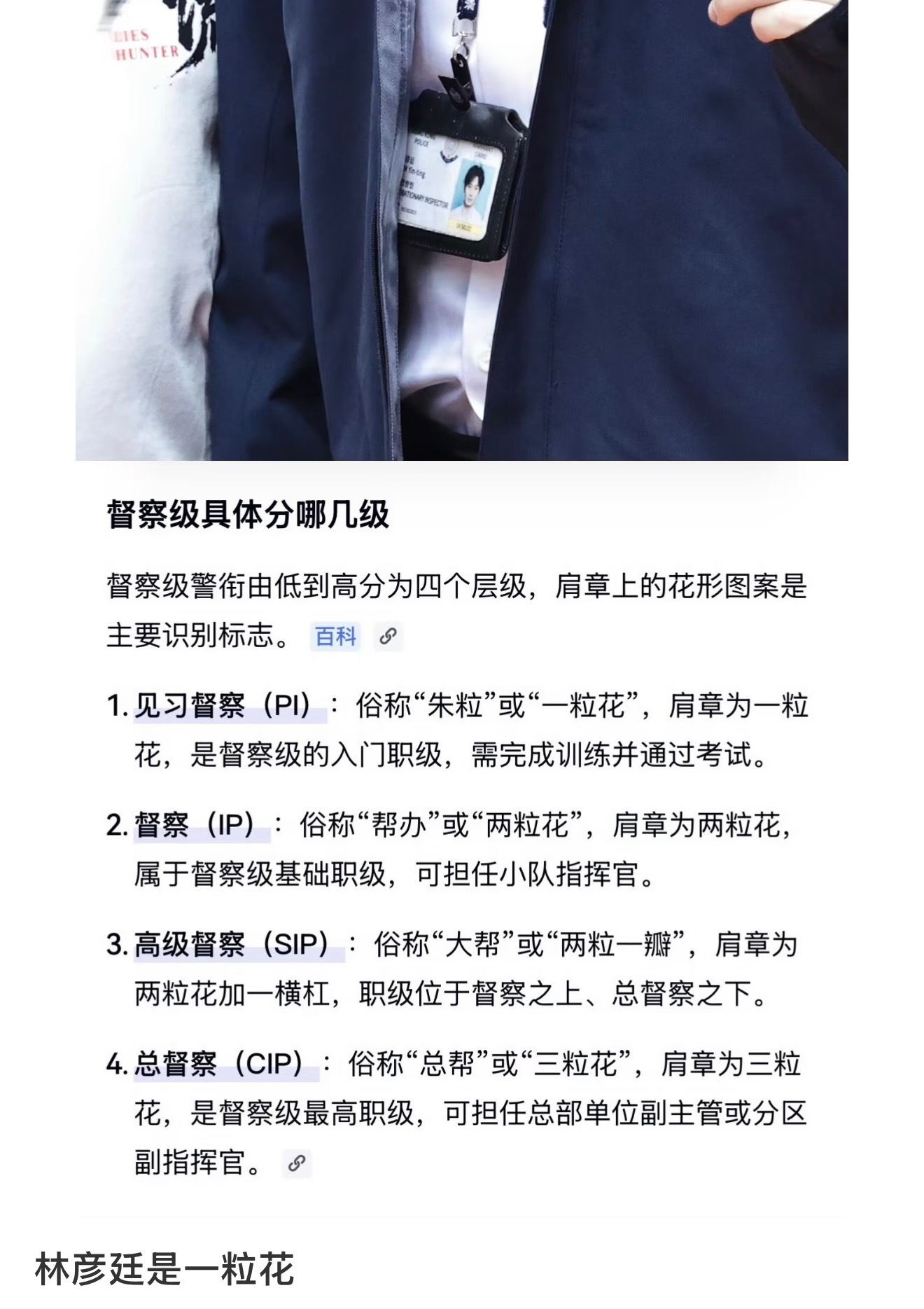 有被科普到了，林彦廷上来就是见习督察，林sir厉害的不行