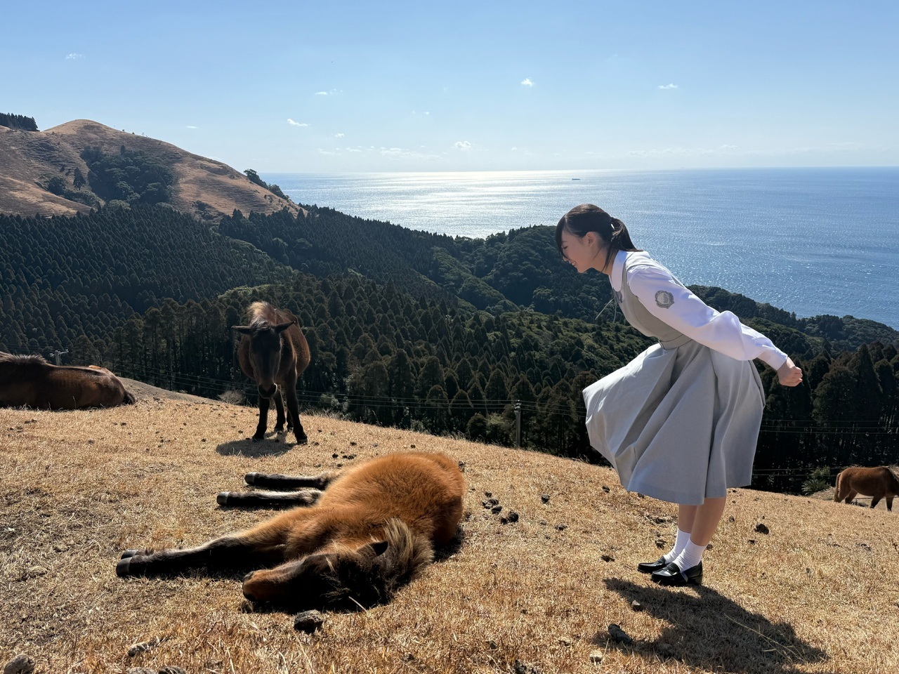 大田美月「最終審査のみんなの番号！最終審査でみんなと会話したのがまだ最近のことよ