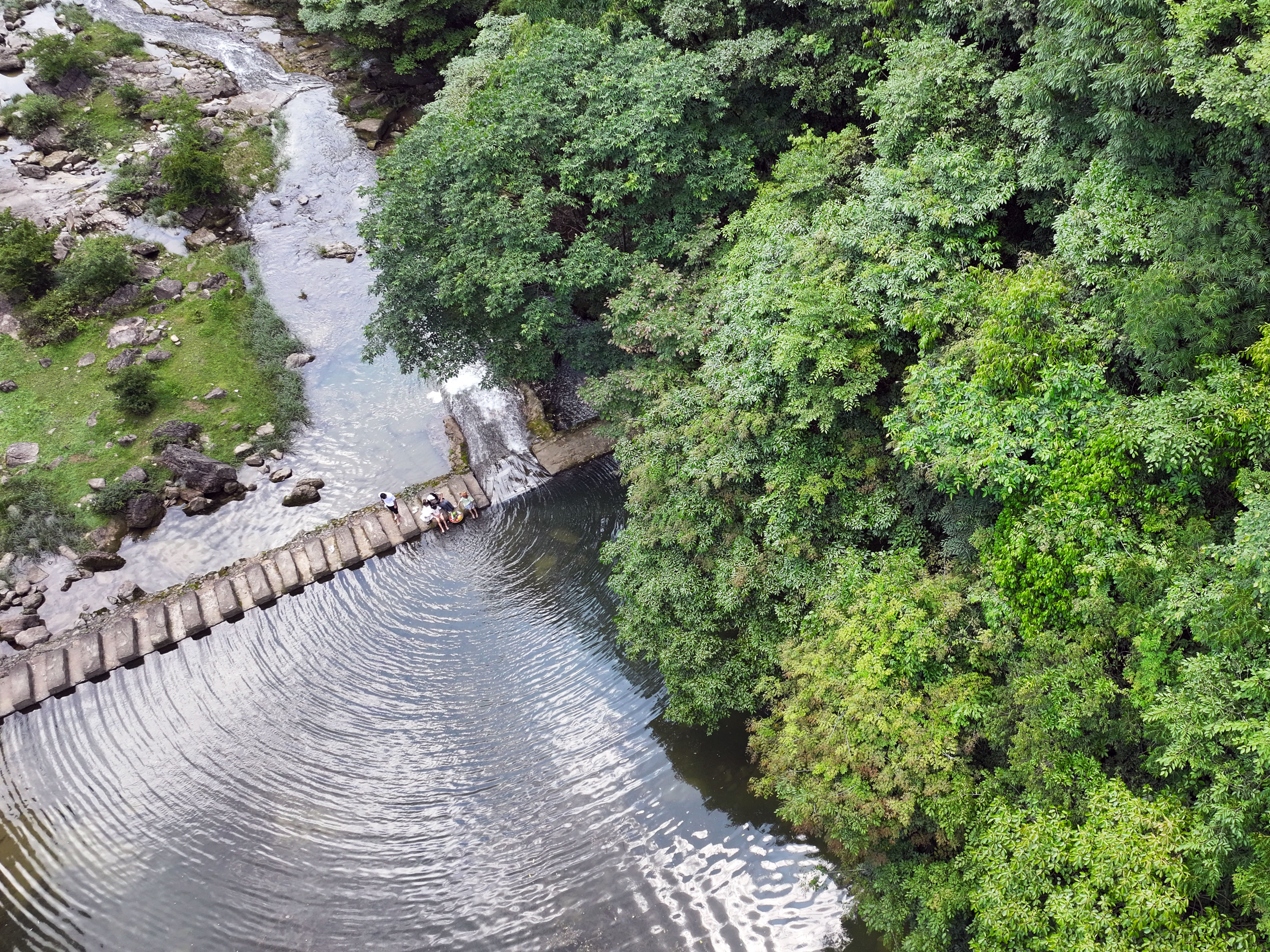 百里杜鹃的浪漫从不止于花期！125.8 平方公里原生态杜鹃林带，春日铺就粉色花海