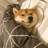 暖粟粟聚聚音乐