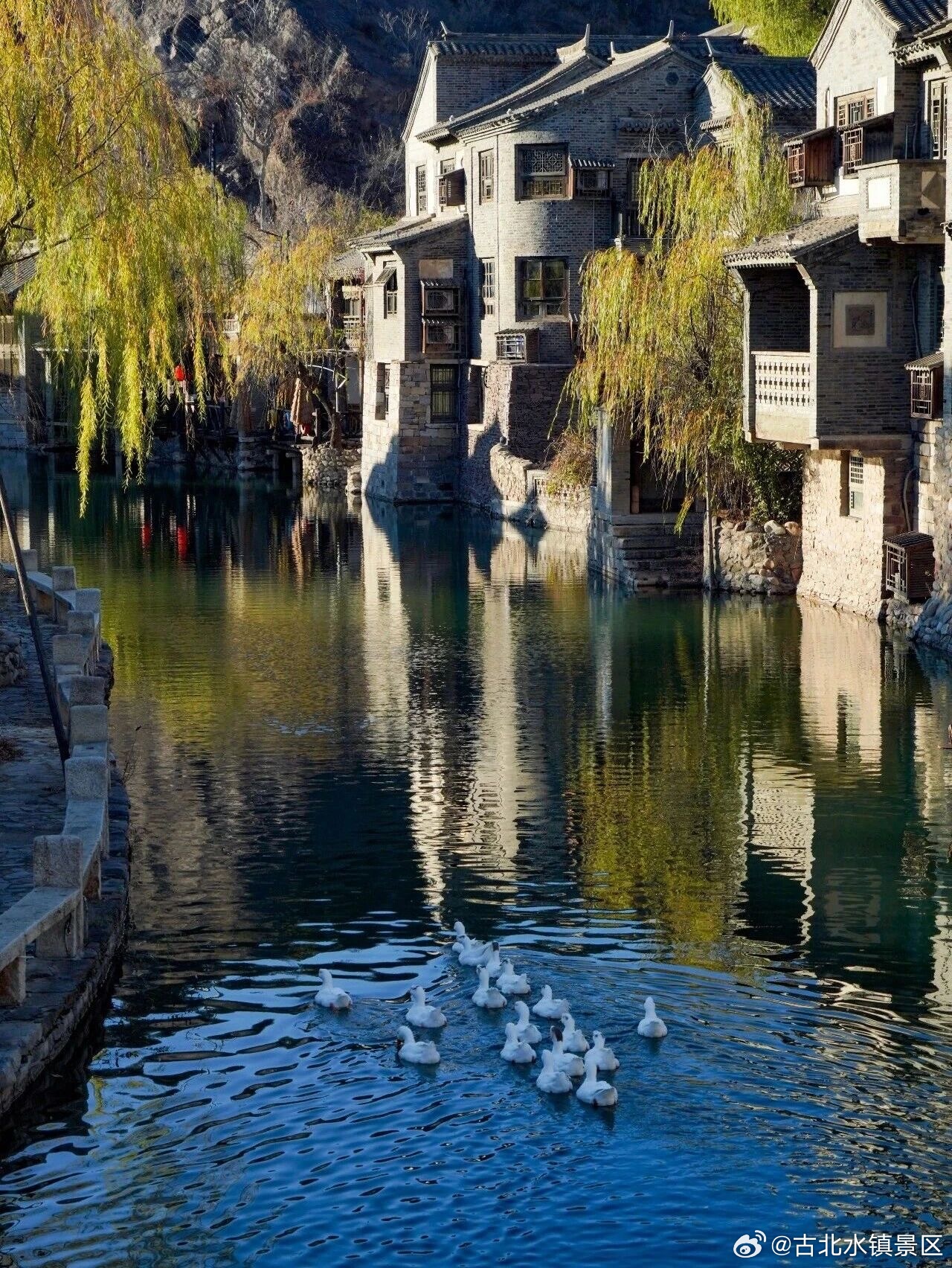 愿日子如诗，温柔且明亮！早安，宝子们～