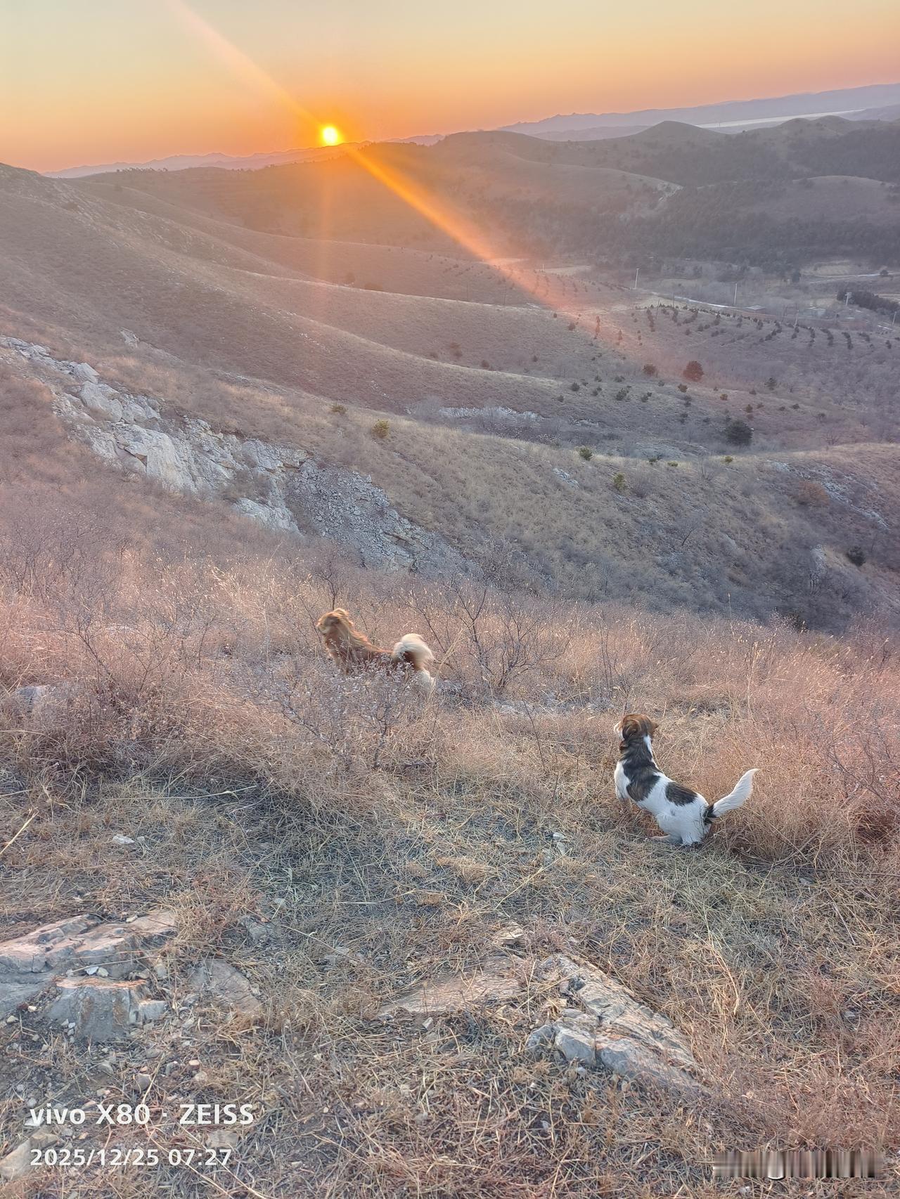 沐浴晨光，奔向远方，新的一天已经开始，新的一天脚下有力量，天地之间，尽情的奔跑，