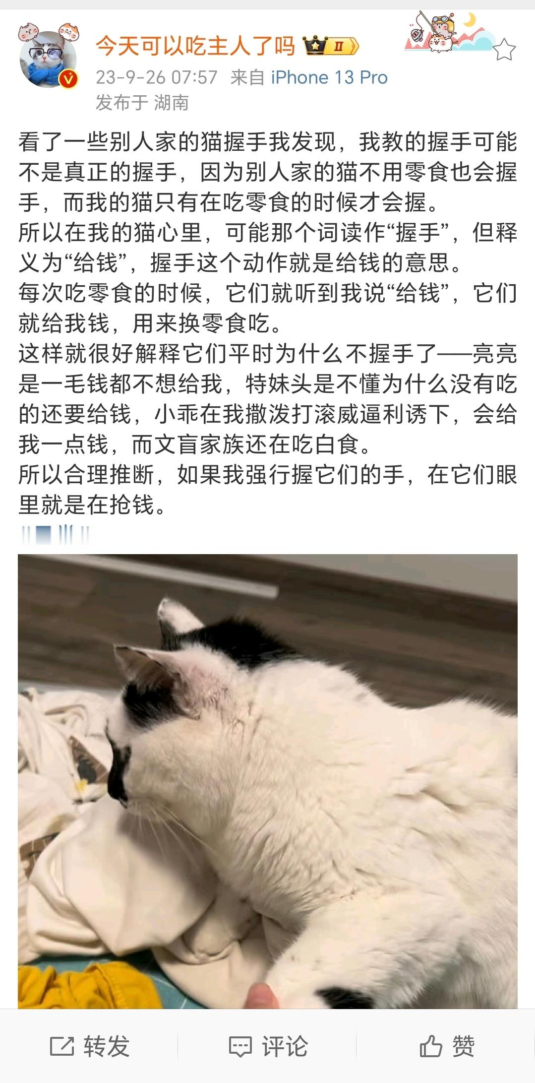 今言今语[超话] 关于握手和抢钱以及慷慨的小乖 ​​​