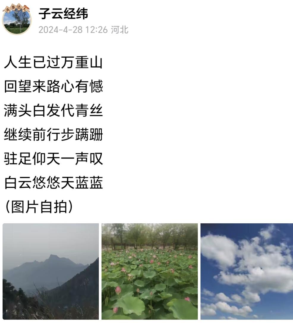 现在有很多诗，仅仅是散文分行而已。
这还不是最关键的，最关键的是假，太假了，虚情