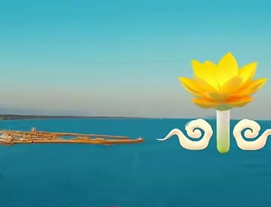 希望能尽快看到张煜医生重返医疗岗位，继续用专业医术服务广大患者，为他们带来希望。