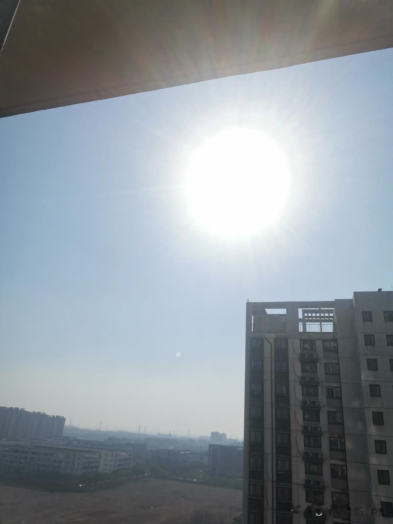 今天是三九的第八天，天气晴朗，阳光明媚，温暖如春，一派北方的阳春三月！

当我翻