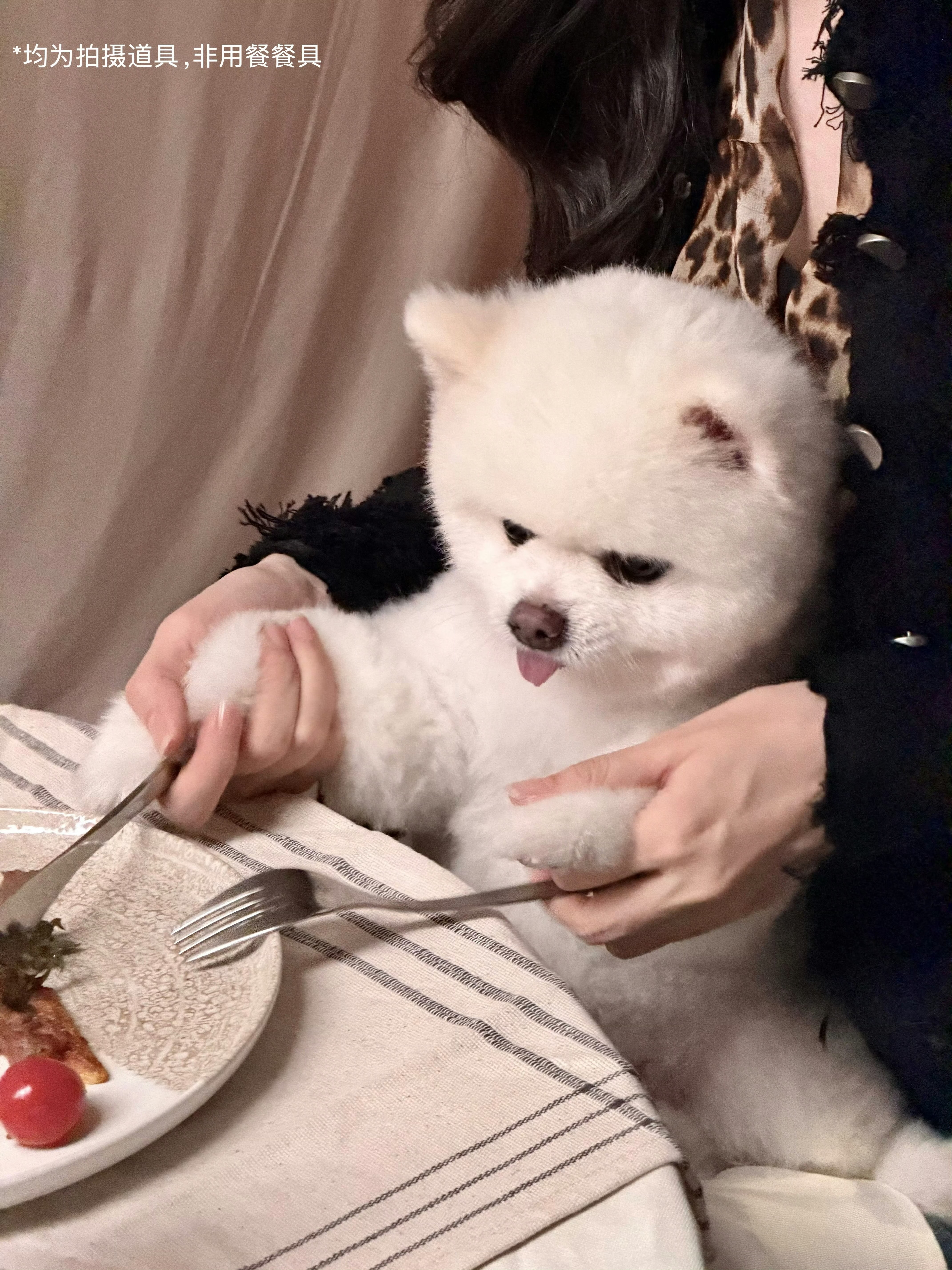 哥哥在学吃西餐🍴 ​​​