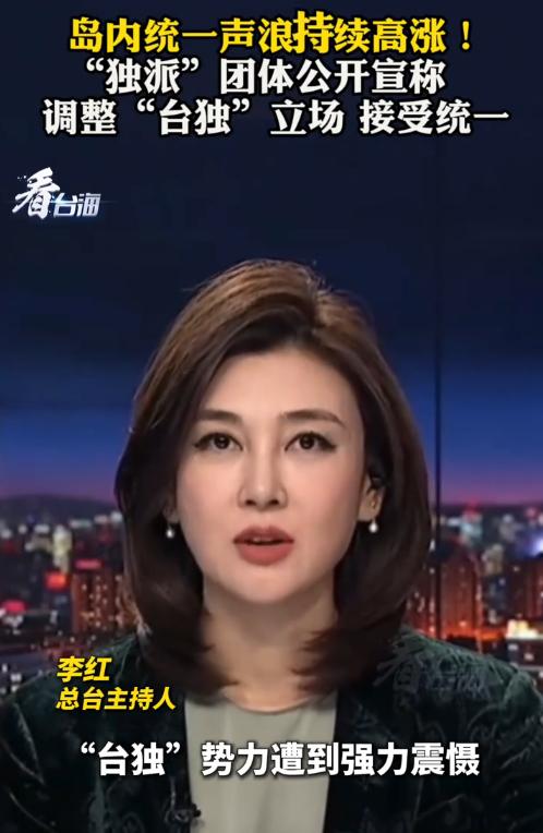 活久见！岛内那帮曾经把“台独”挂嘴边、恨不得把“台湾国”刻在脑门上的深绿团体，居