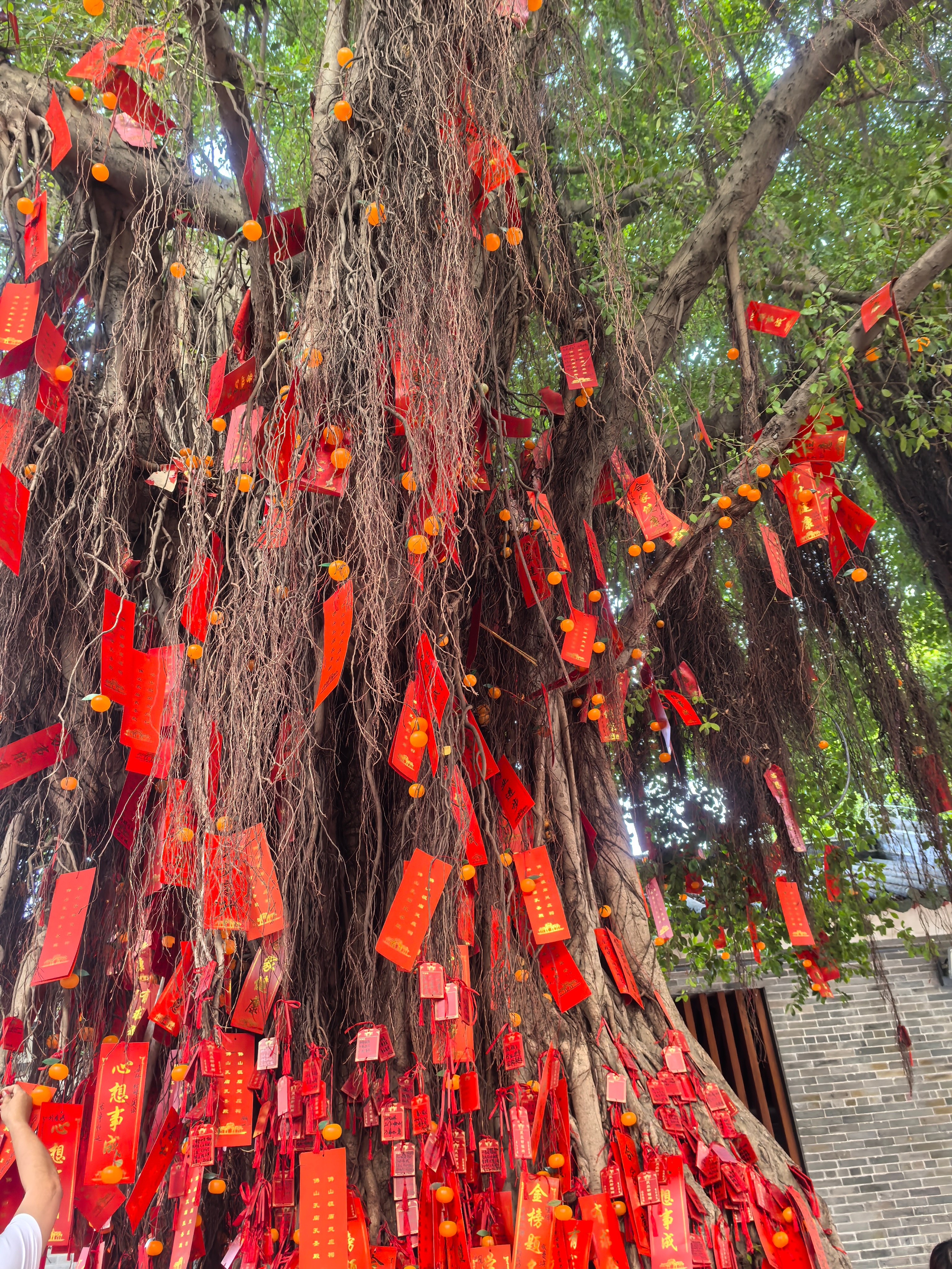 上班大年初八，开工大吉！在广东，新年开工，都会领到开工利是，这个已经是春节一贯如