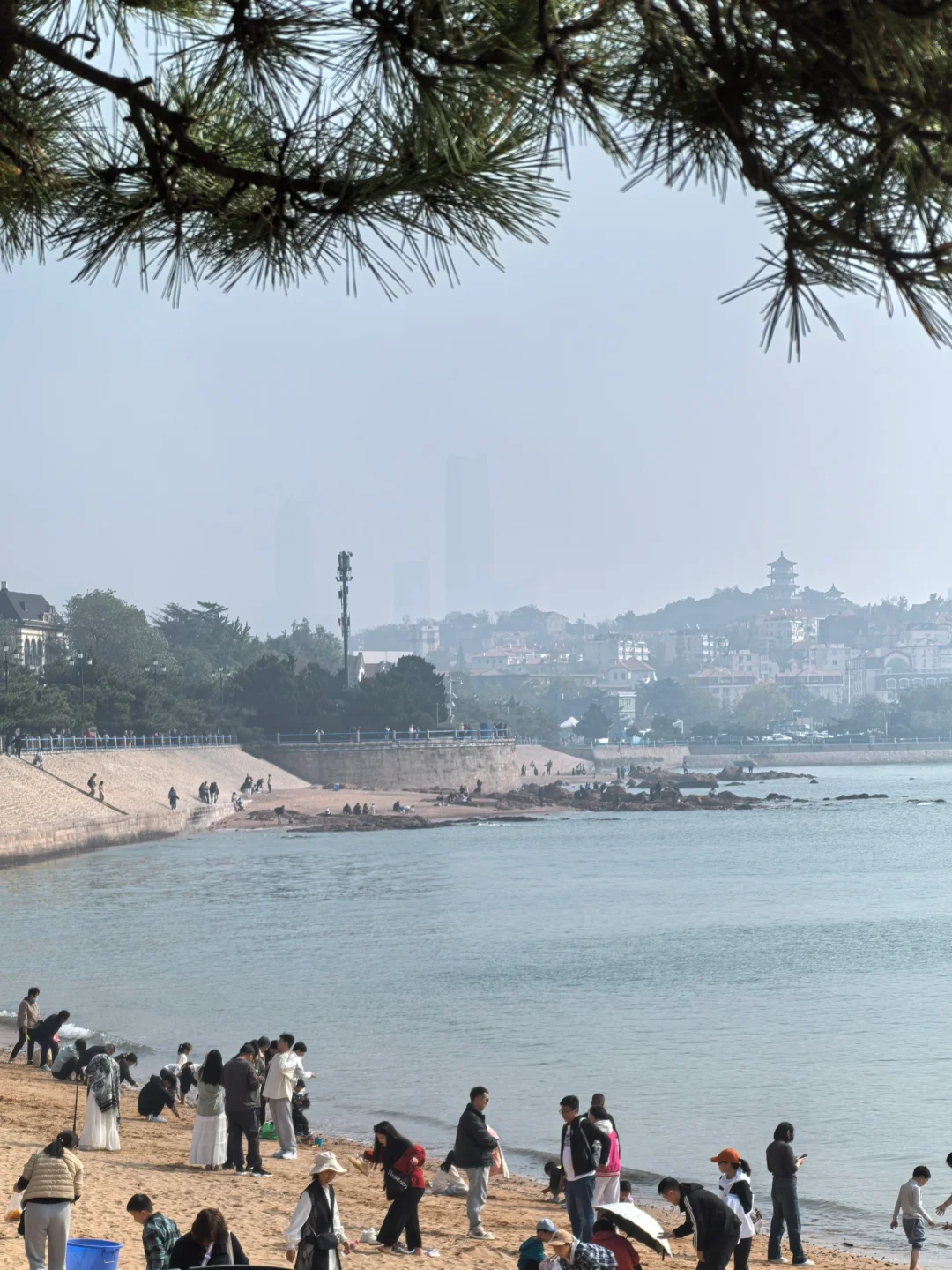 10.26青岛街头实况 海边大雾今日无鸥