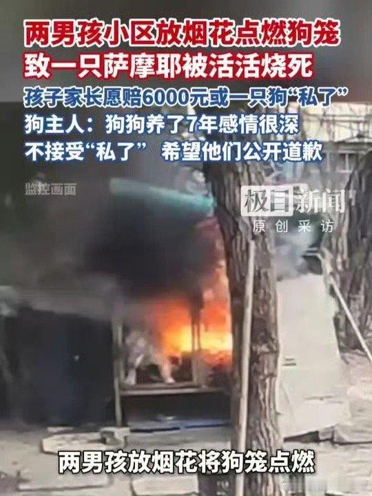 连云港萨摩耶一大早看到这个烧狗的新闻真气死了😡😡魔鬼！！！！狗的生命也是生命