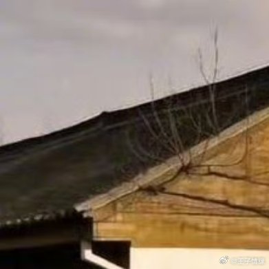 [2025]              那些渴望被遮风挡雨的人，        