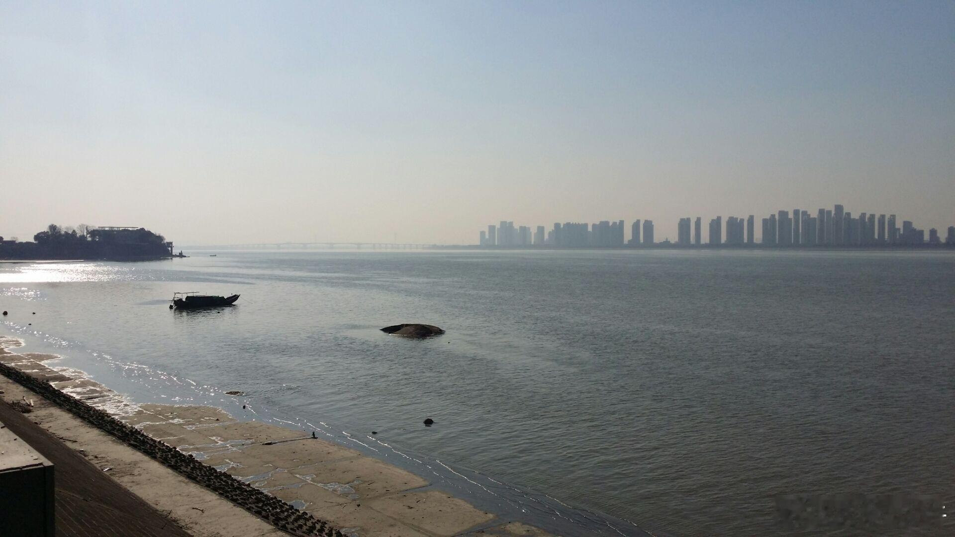 明月如霜，好风如水，清景无限。曲港跳鱼，圆荷泻露，寂寞无人见。紞如三鼓，铿然一叶