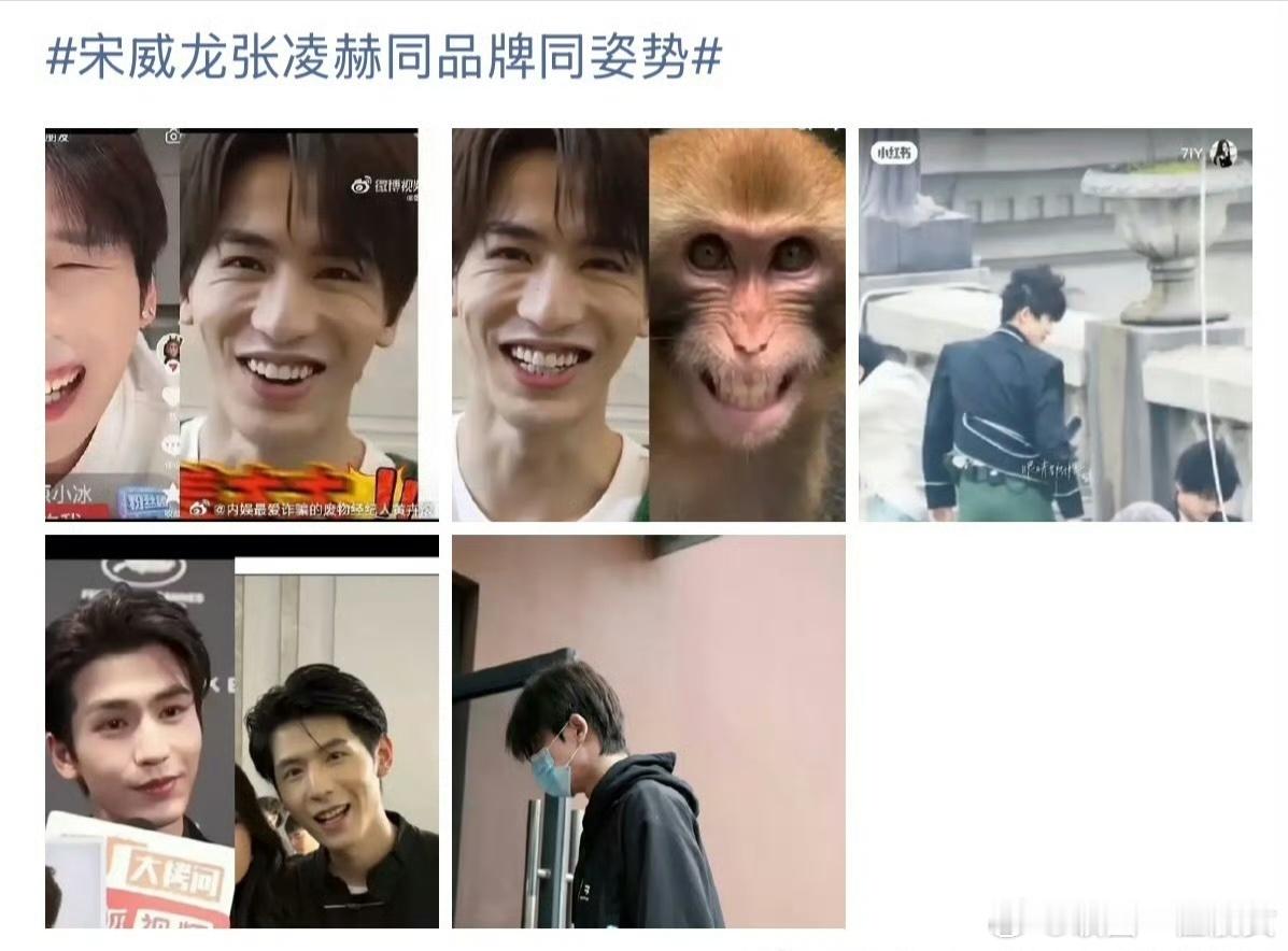 张凌赫宋威龙粉丝持续交流，谁赢了？ 