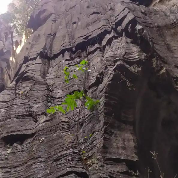 这段事件引发了广泛关注和讨论，主要集中在儿童安全与锻炼方式的界限问题上。

安全
