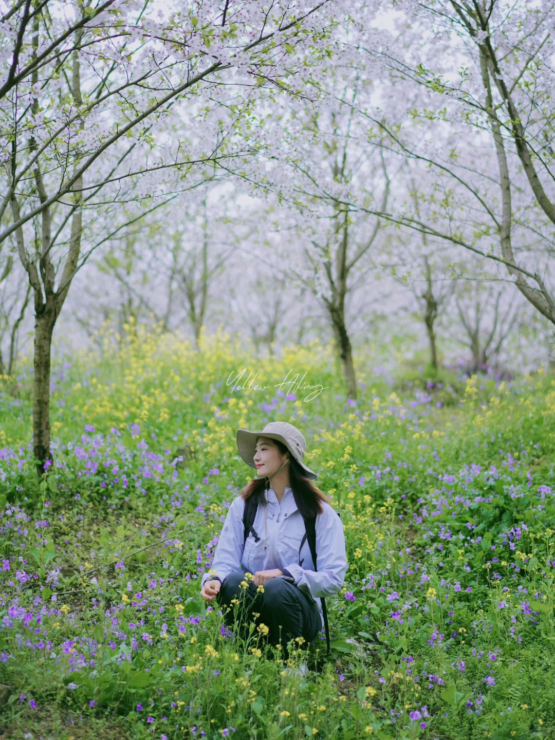 宁波爬山徒步|打翻大自然调色盘的春日花路