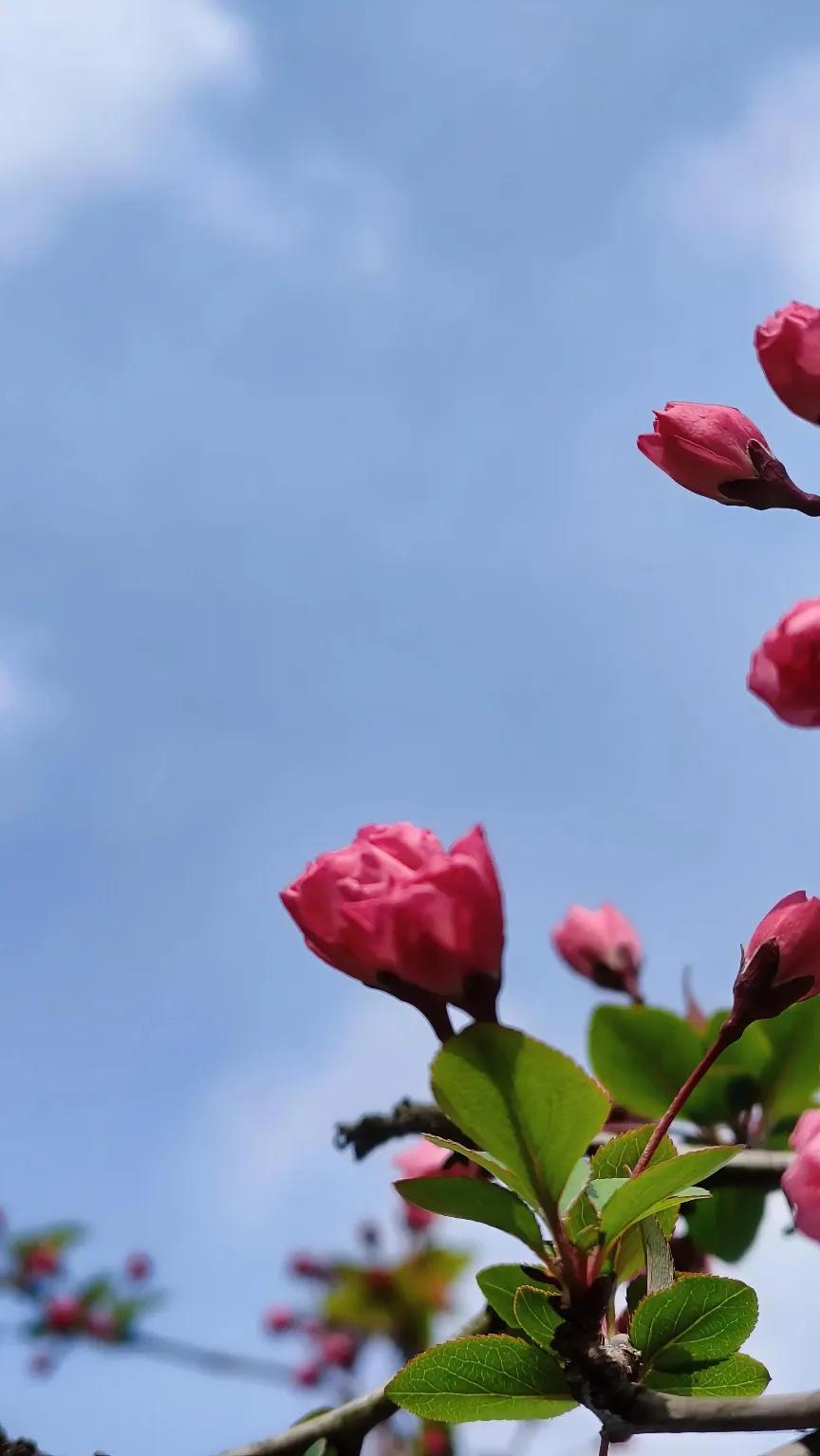 没有惩戒的制度，恰似纸上谈兵。不信且请听我慢慢道来 :
我是做保洁工作的，在这里