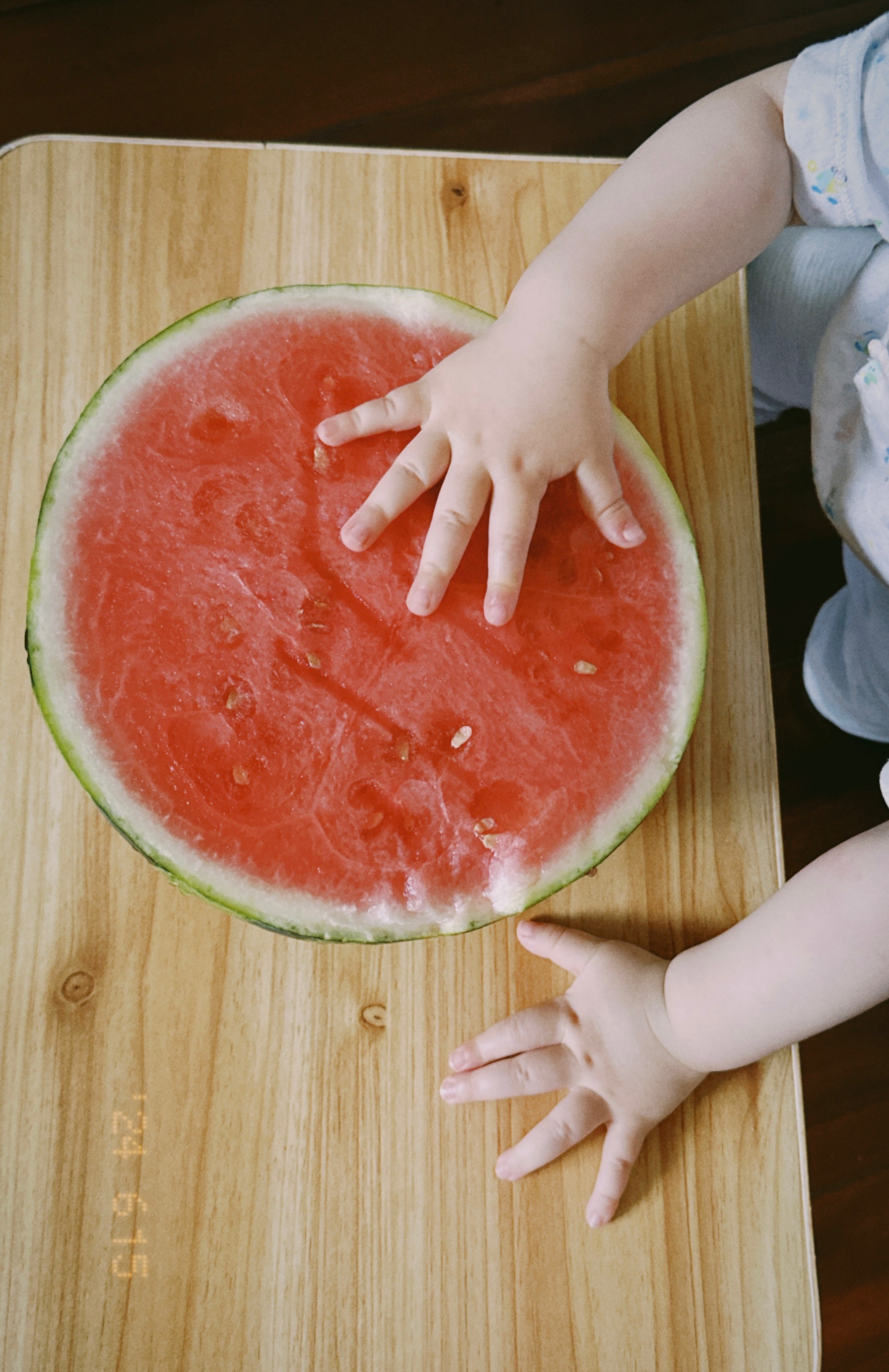 小猪蹄&西瓜夏天就是要大口啃西瓜🍉呀[微风][微风][微风] ​​​