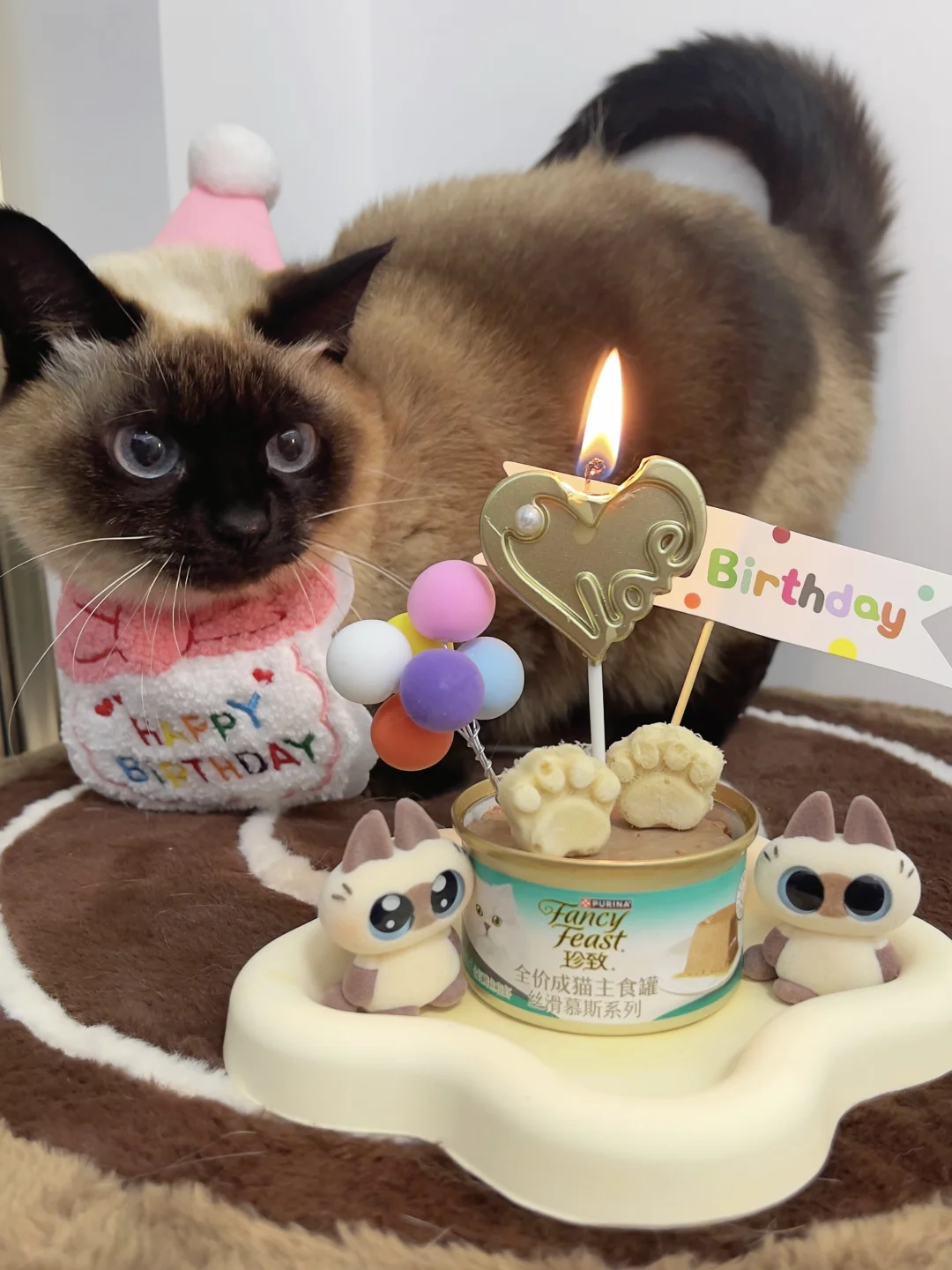 给小猫过个幸福生日！咪界黑天鹅罐罐安排✨