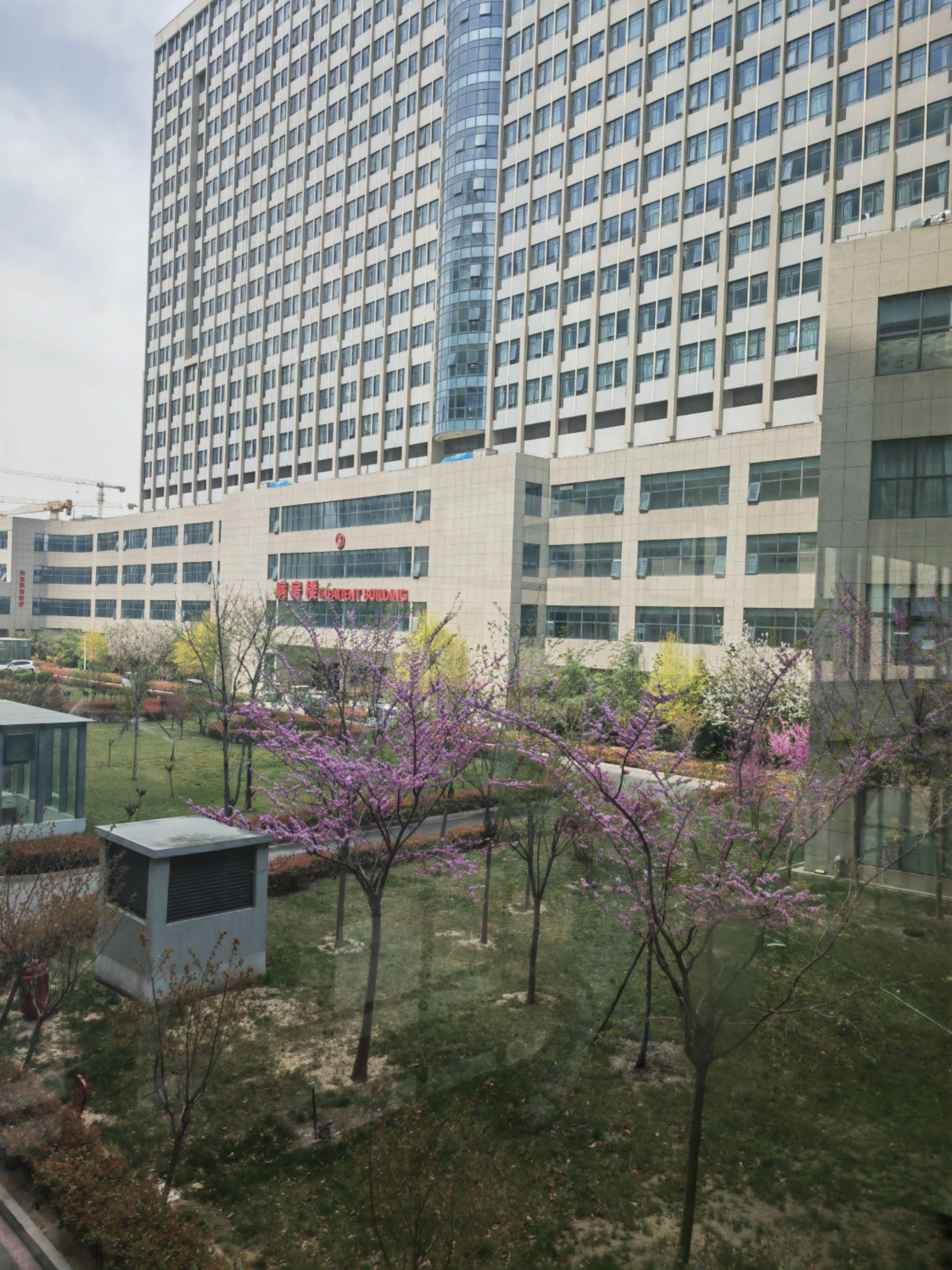 特发性正常压力脑积水(iNPH)正常压力脑积水（normal pres...