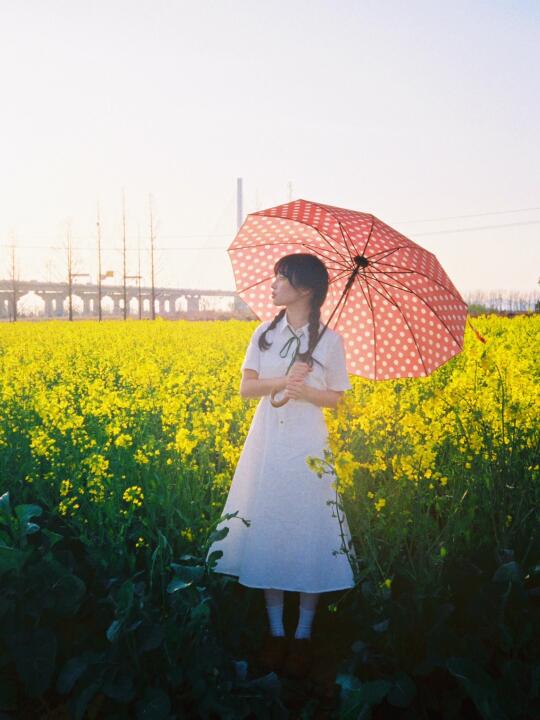把秘密告诉春天的花🌼