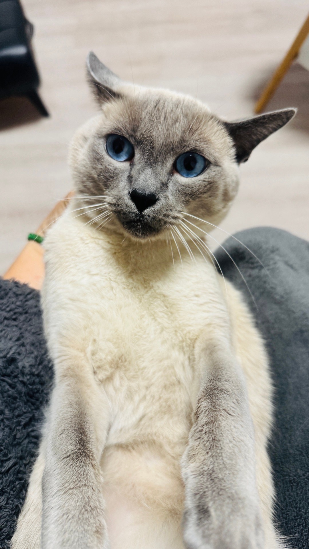 跳起来给了我脸一巴掌，破相了，这几天拍的视频脸上都有一道大伤口。 