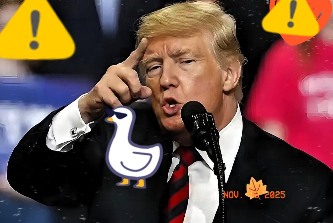 美国终于正式宣布了
11月11日，美国总统特朗普在白宫直接摊牌，明确表示美国不再