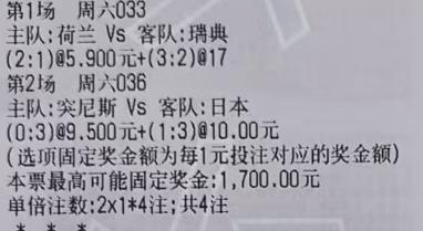 樱桃今日世界杯推荐：周六033 世界杯 荷兰vs瑞典参考：胜娱乐：2-1 3-2