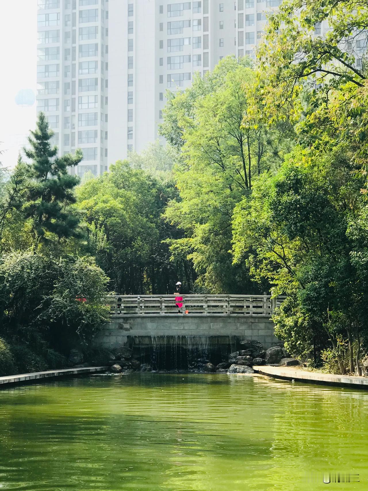 收集好看的手机壁纸