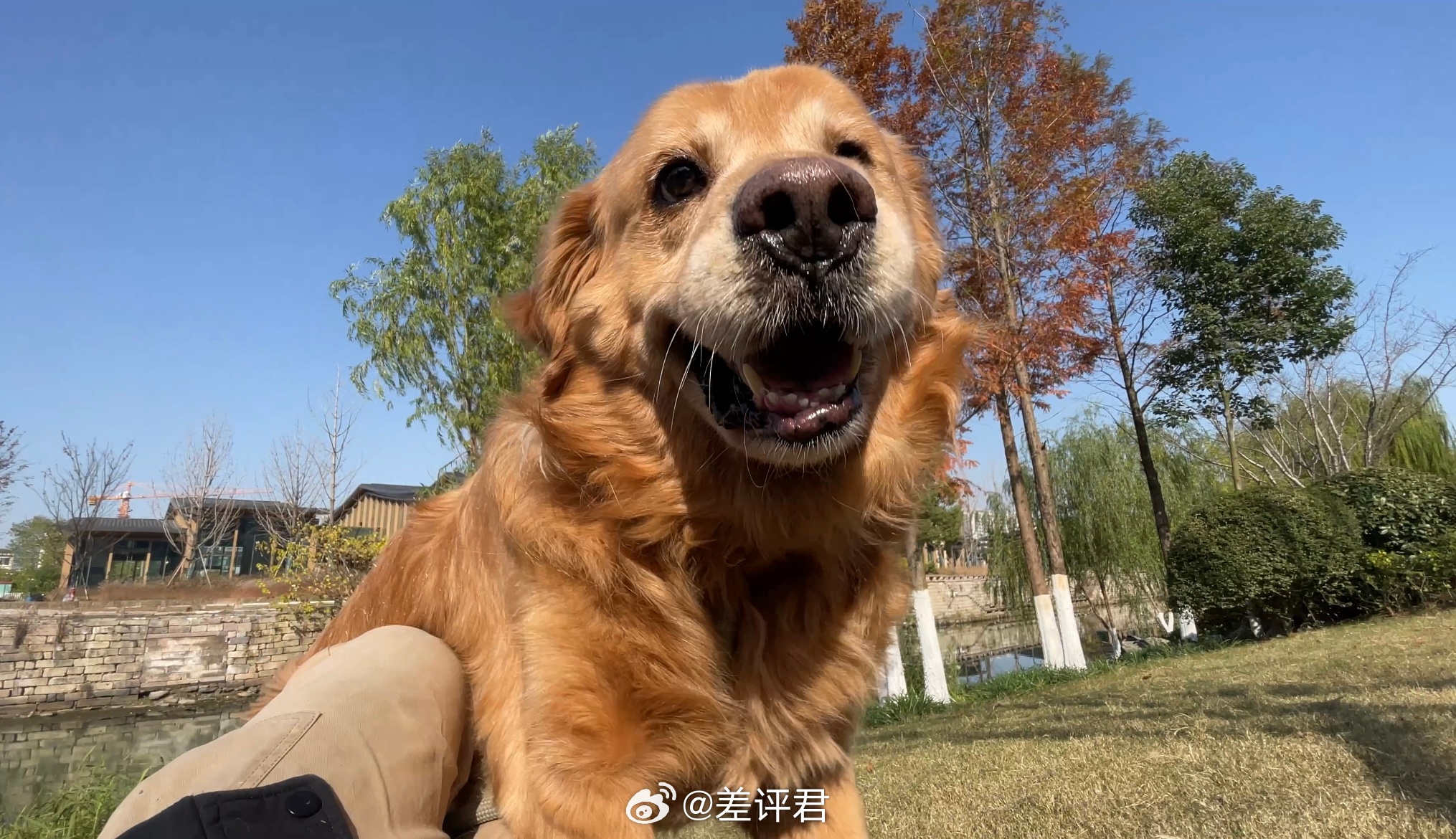 #新年快乐# 又是新的一年，祝大家健康快乐～2025继续一起看差评。[春游家族]