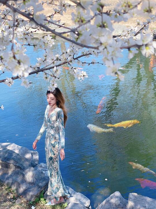 听说圆明园岸边的桃花🌸和水中锦鲤更配哦