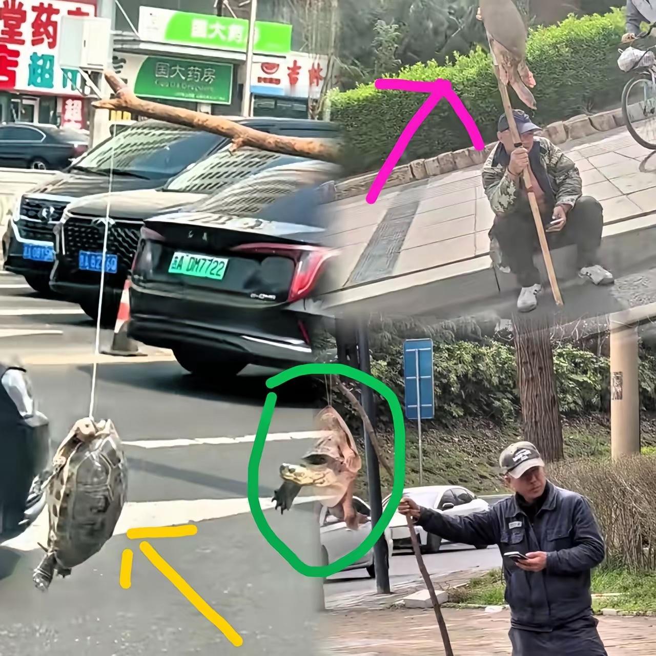 怪事真的是一件接着一件
不知道你们有没有发现
大家平时出门有没有察觉到不对劲？