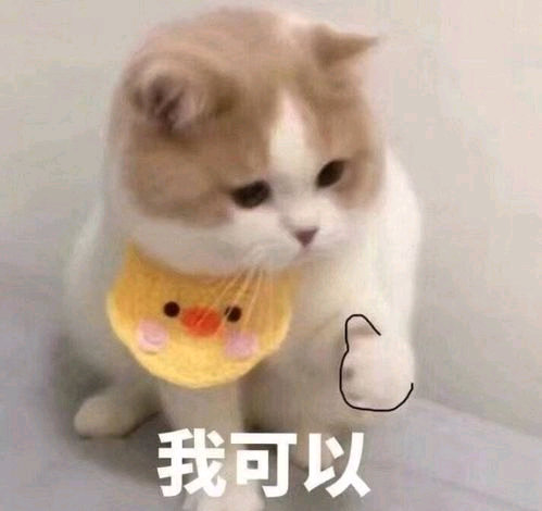 段永平成为泡泡玛特第二大股东 听说段永平还把自己头像换成了LABUBU，这也太可