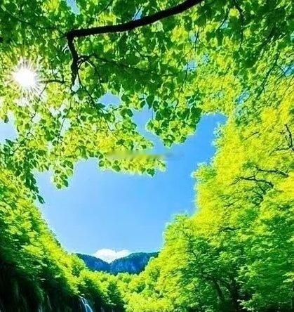 人与人之间的相处，贵在掌握分寸。不该说的不说，不合适的人不纠缠，不属于你的圈子不