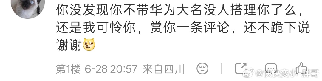 这种手段真的是太高了……你无论聊什么，他们都能往华为身上引然后在评论区取证……