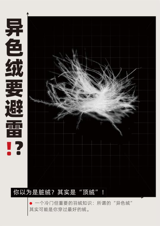 羽绒服异色绒要避雷？这可是好绒的标志！