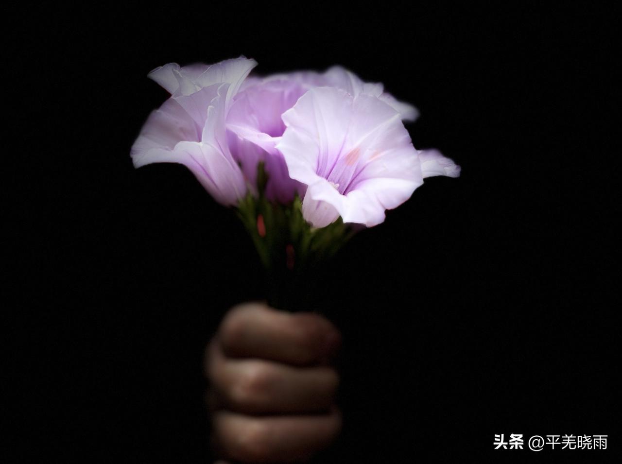 快来看看我新换的主页背景吧