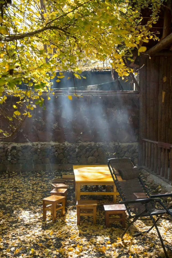 云南腾冲，美成了金色童话世界。 