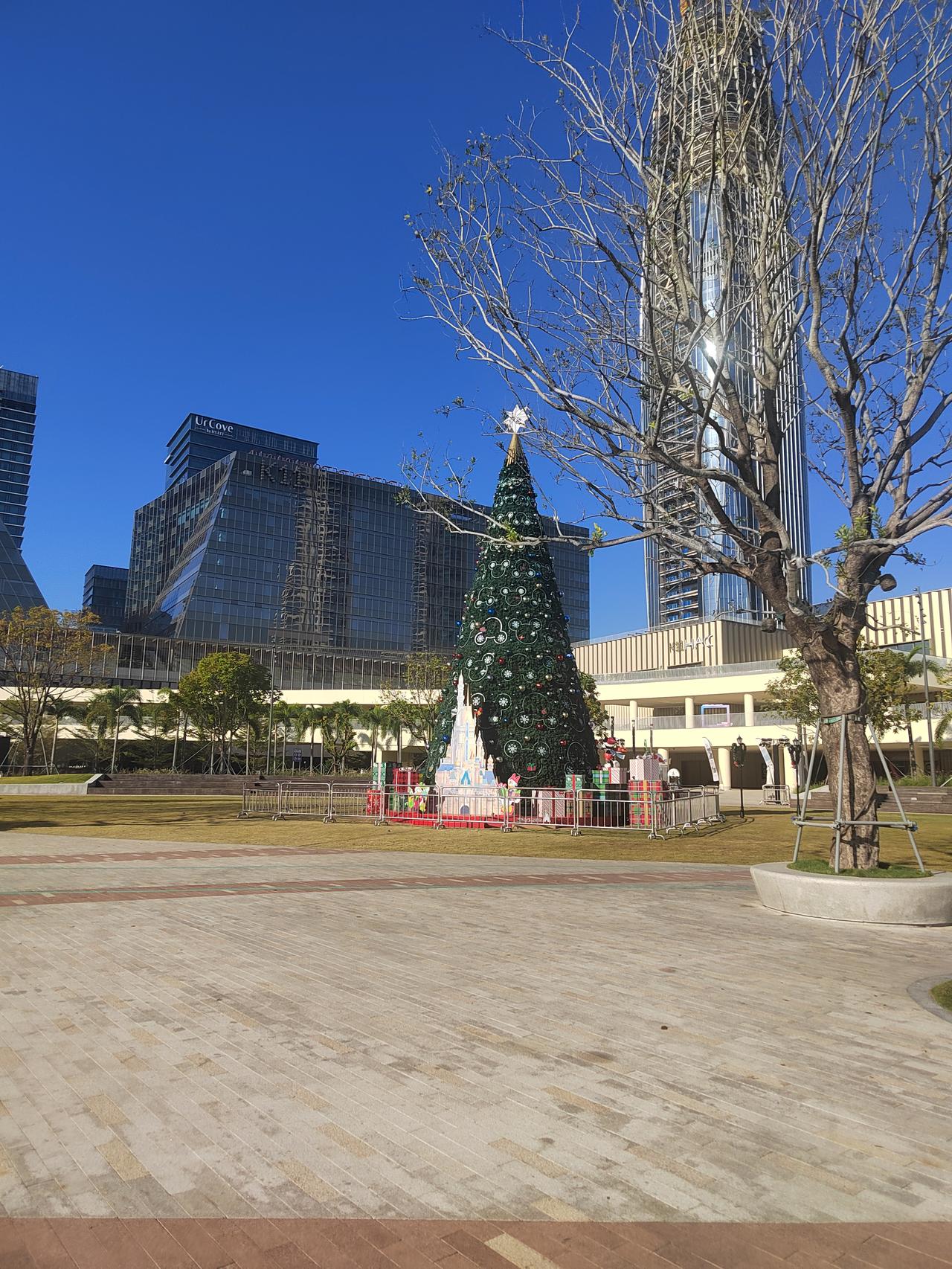 12月份。或许是人生中一个很重要的节点，但它不是终点，有人说。从到水深处，坐看云