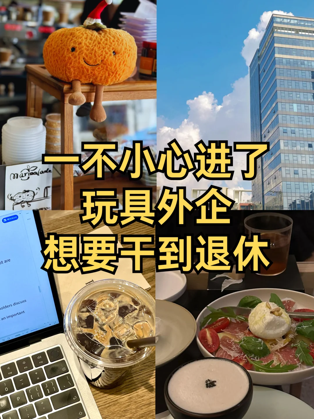 一不小心进了玩具神仙外企🐶想要干到退休